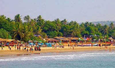 Goa and Kerala Tour - Cochin-Munnar-Periyar Tour Package | KoiKoi Travel