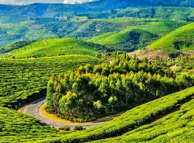 South India Hill Stations Tour - Coorg-Ooty-Coonoor-Kodaikanal Tour Package | KoiKoi Travel