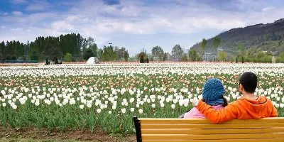 Golden Triangle with Kashmir: Forts, Palaces & Valleys - Delhi-Agra-Fatehpur Sikri Tours-Jaipur-Srinagar-Gulmarg-Pahalgam Tour Package | Koikoi travel