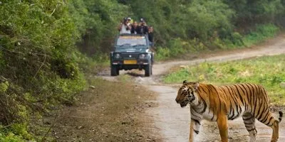 Jim Corbett Wildlife Tour from Delhi - Delhi-Jim Corbett National Park-Delhi Tour Package | Koikoi travel