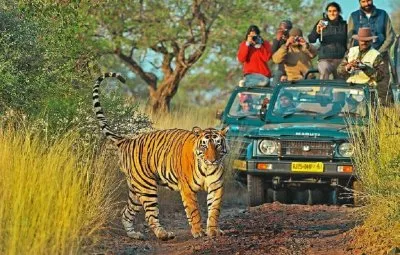 Ranthambore Weekend Tour from Delhi – Train & Tiger Safari - Delhi-Ranthambore Tour Package | KoiKoi Travel