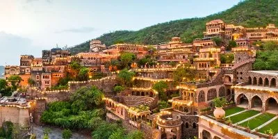 Wildlife and Birdwatching Tour with Taj Mahal - Delhi-Neemrana-Sariska-Bharatpur-Agra Tour Package | KoiKoi Travel