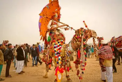 Rajasthan Pushkar Fair Tour Packages - Jaipur-Pushkar-Ajmer-Jodhpur-Jaipur Tour Package | KoiKoi Travel