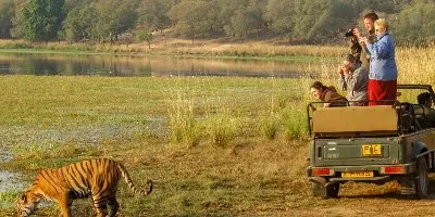 Golden Triangle Tour with Ranthambore Tiger Safari - Delhi-Agra-Ranthambore-Jaipur-Delhi Tour Package | Koikoi travel