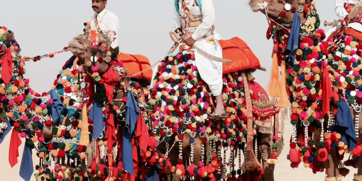 Pushkar Tour Packages & Sightseeing | Koikoi travel