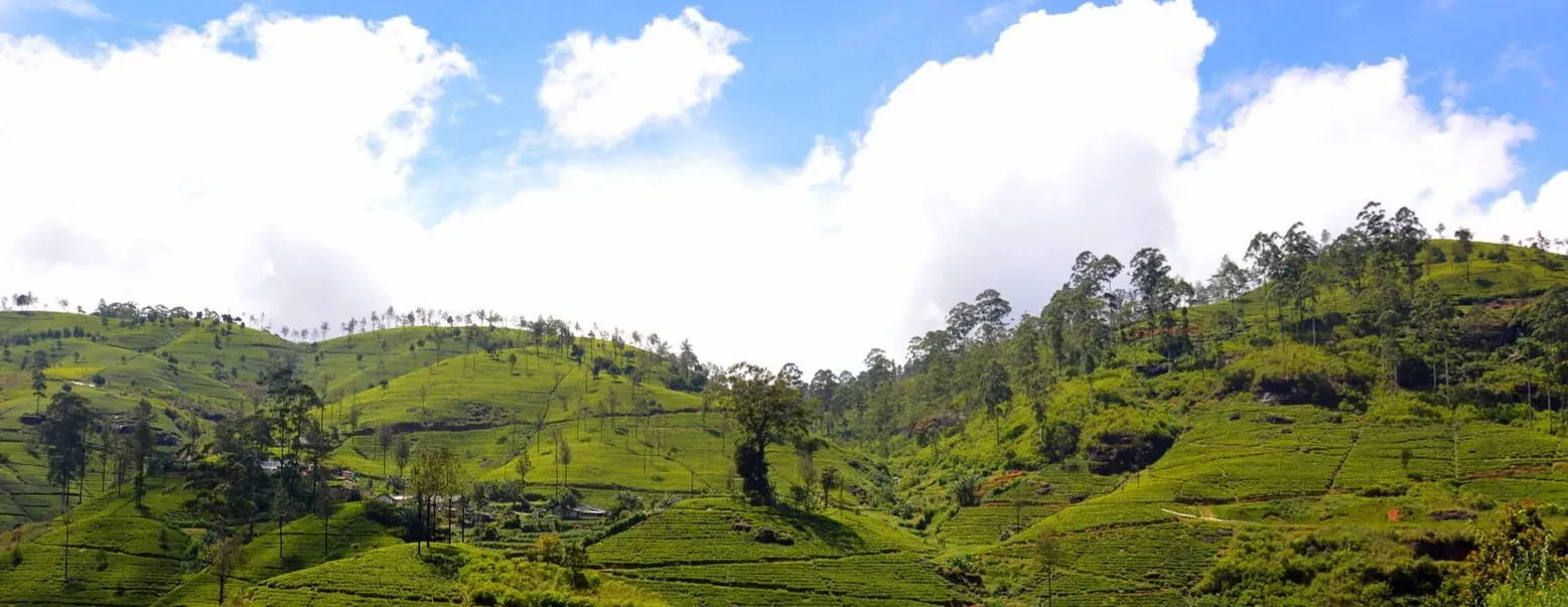 Coonoor