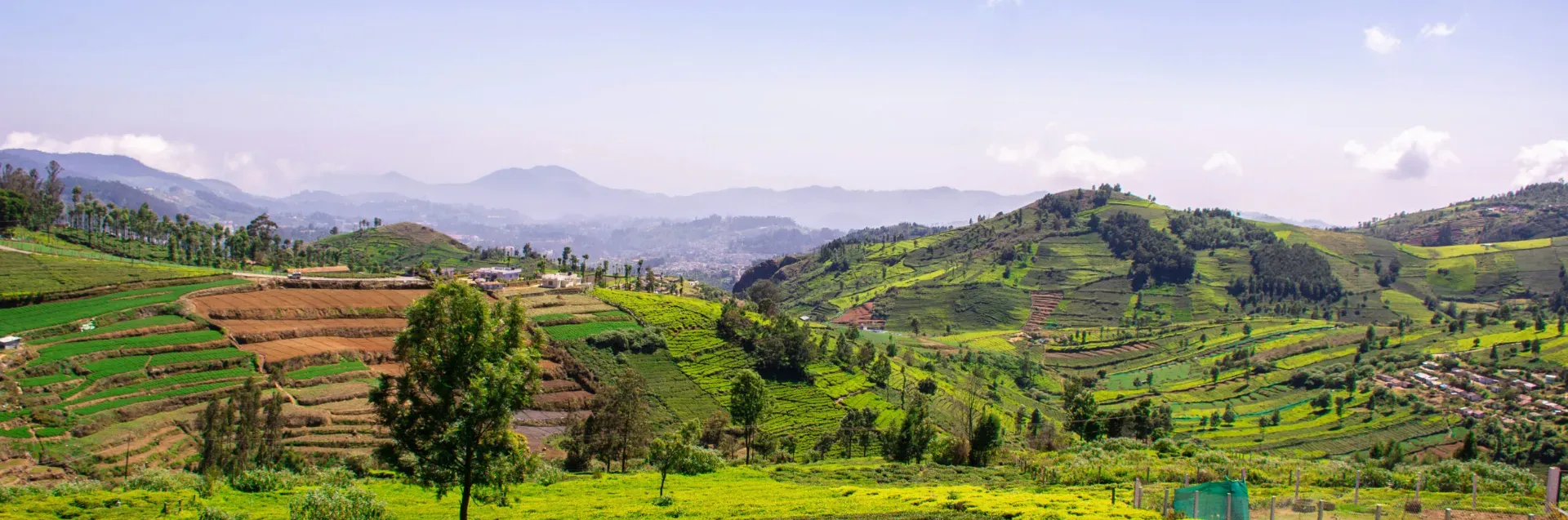 Coonoor
