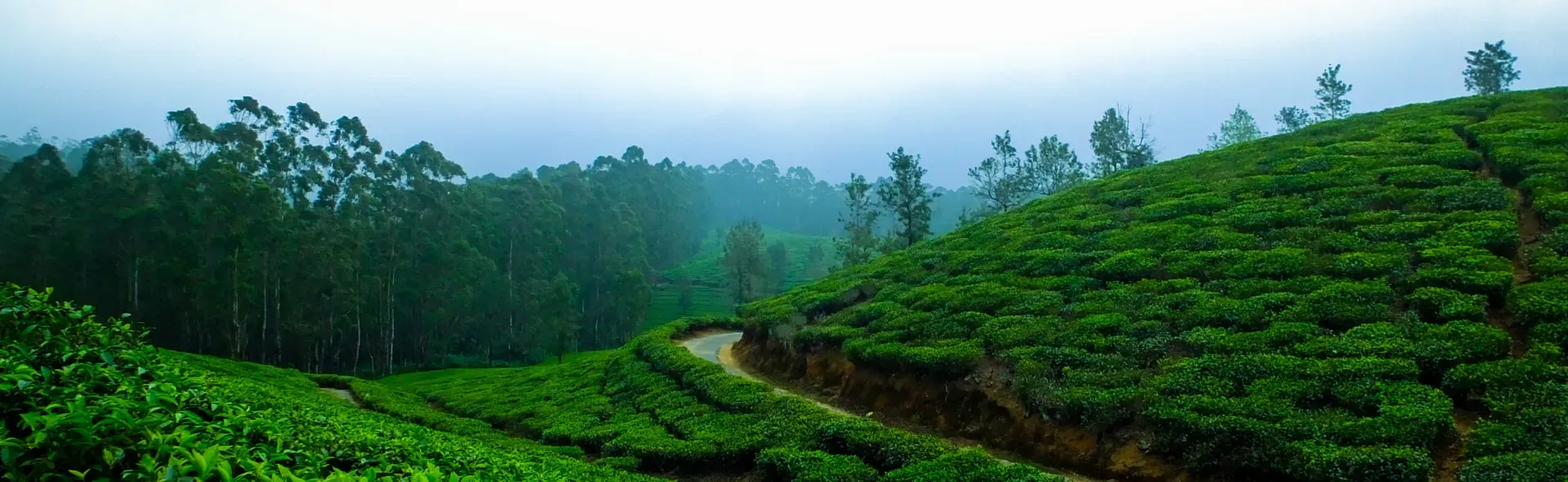 Coorg