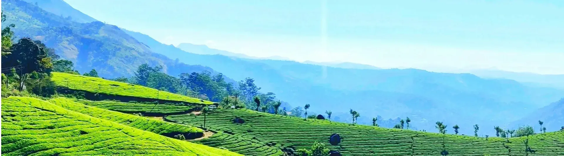 Munnar