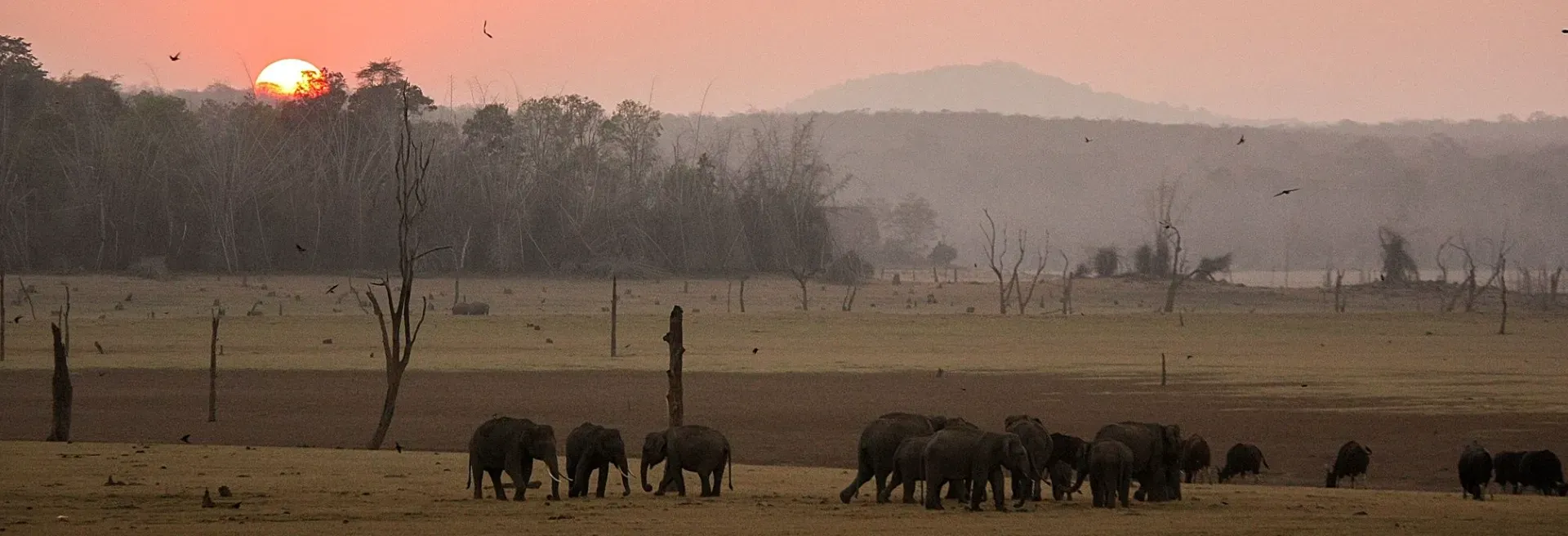 Nagarhole